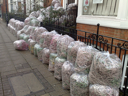 Document Shredding Service in Ardwick