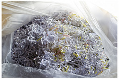 shredding service in Chester